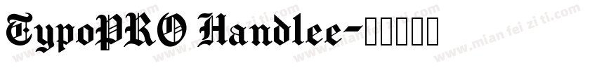 TypoPRO Handlee字体转换